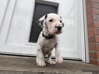 IMG_20250204_091148_web