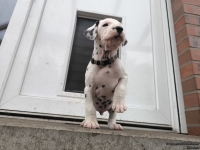 IMG_20250204_091149_web