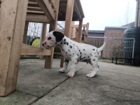 IMG_20250204_091157_1_web