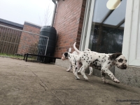 IMG_20250204_091207_web