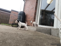 IMG_20250204_091208_web