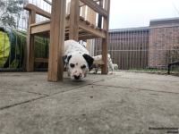 IMG_20250204_091335_web