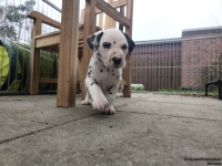 IMG_20250204_091336_web