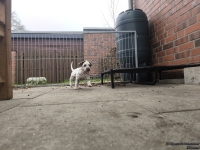 IMG_20250204_091341_web