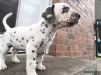 IMG_20250204_091356_web