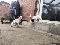 IMG_20250204_091407_web