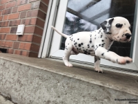 IMG_20250204_091415_1_web