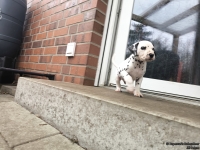 IMG_20250204_091415_web