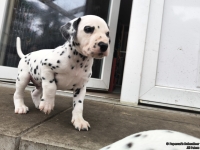 IMG_20250204_091416_web