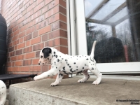 IMG_20250204_091422_1_web