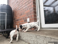 IMG_20250204_091423_web