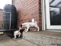 IMG_20250204_091425_web