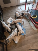 IMG_20250204_131951_web