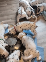 IMG_20250204_131955_web