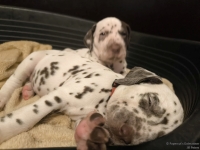 IMG_20250204_171243_web