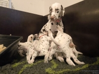 IMG_20250204_171441_web