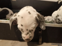 IMG_20250204_173017_web