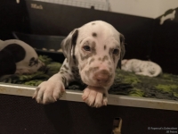 IMG_20250204_173025_web