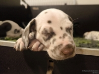 IMG_20250204_173045_web