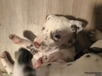 IMG_20250204_173123_web