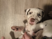 IMG_20250204_173124_web