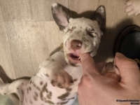 IMG_20250204_173212_web