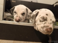 IMG_20250204_173235_web