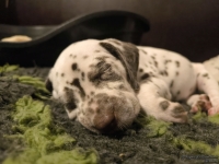 IMG_20250204_173313_web