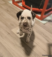 IMG_20250205_075908_web