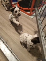 IMG_20250205_075935_web