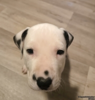 IMG_20250205_080035_web