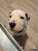 IMG_20250205_080103_web