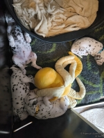 IMG_20250205_122551_web