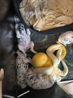 IMG_20250205_122553_web