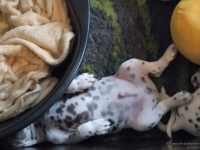 IMG_20250205_122614_web