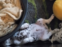 IMG_20250205_122615_web