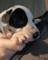 IMG_20250206_105439_web