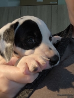 IMG_20250206_152501_web