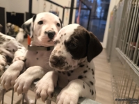 IMG_20250206_175153_web