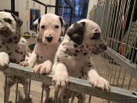 IMG_20250206_175157_web