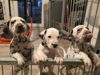 IMG_20250206_175207_web