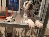 IMG_20250206_175213_web