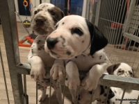 IMG_20250206_175348_web