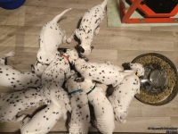 IMG_20250206_181357_web