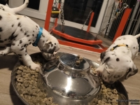 IMG_20250206_181422_web