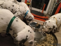 IMG_20250206_181423_web