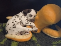 IMG_20250208_105713_web