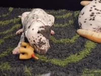 IMG_20250208_105719_web