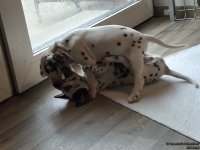 IMG_20250208_105741_web