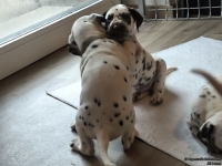 IMG_20250208_105743_web